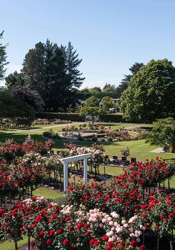 Harewood Gardens Hero